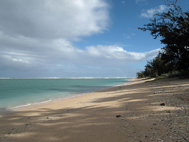 Plage sur l'île de La Réunion. Organisez votre voyage tranquille avec Allonslareunion.com